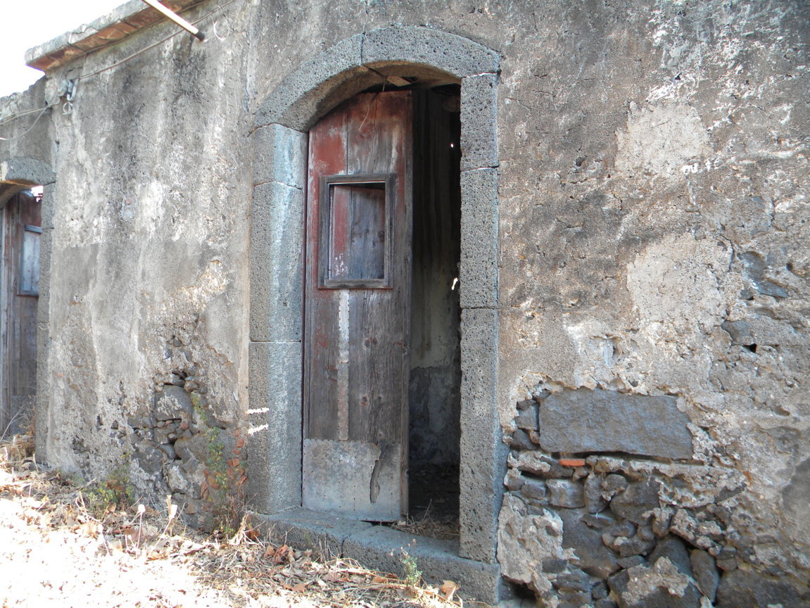 DSCN7991 .JPG